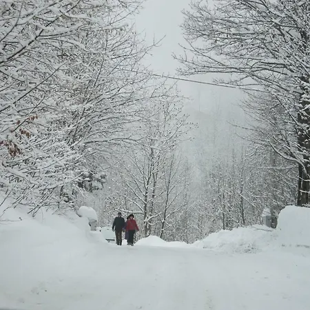 Sulle Piste